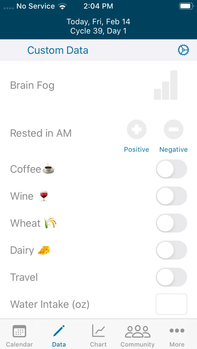 Apple_Custom_Data_.PNG